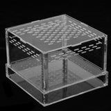 Maxbell Durable Acrylic Clear Pet Reptiles Worm Box Breeding Tanks Container