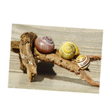 Maxbell Maxbell Aquarium Single-sided Adhesive Poster Background Sticker Escargots 122x61cm