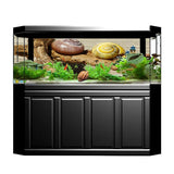 Maxbell Maxbell Aquarium Single-sided Adhesive Poster Background Sticker Escargots 122x61cm