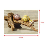 Maxbell Maxbell Aquarium Single-sided Adhesive Poster Background Sticker Escargots 122x61cm
