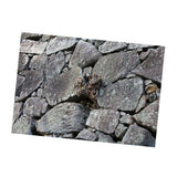 Maxbell Maxbell Aquarium Single-sided Adhesive Poster Background Sticker Stone 61x30cm