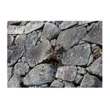 Maxbell Maxbell Aquarium Single-sided Adhesive Poster Background Sticker Stone 61x30cm