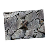 Maxbell Maxbell Aquarium Single-sided Adhesive Poster Background Sticker Stone 61x30cm