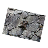 Maxbell Maxbell Aquarium Single-sided Adhesive Poster Background Sticker Stone 61x30cm