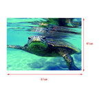 Maxbell Maxbell Aquarium Single-sided Adhesive Poster Background Sticker Turtle 61x41cm