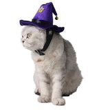 Maxbell Maxbell Magic Funny Halloween Pet Cat Small Dog Hat with Star Costume Pet Supplies Purple