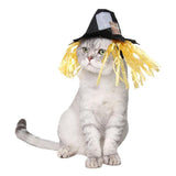 Maxbell Maxbell Cat Costume Halloween Hat - Decorative Funny Hat - Puppy Dog Party Cosplay L