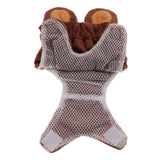 Maxbell Maxbell Puppy Clothes Female Dog Physiological Pants Cartoon Pet Underwear Bear