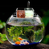 Maxbell Maxbell Mutifunctional Aquarium Fish Tank External Filter Box without Water Pump XL