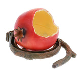 Maxbell Maxbell Pet Bird Food Feeding Bowl Feed Cup Hamster Drinking Water Dish Pomegranate