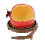 Maxbell Maxbell Pet Bird Food Feeding Bowl Feed Cup Hamster Drinking Water Dish Pomegranate