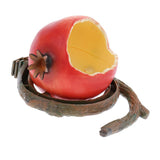 Maxbell Maxbell Pet Bird Food Feeding Bowl Feed Cup Hamster Drinking Water Dish Pomegranate