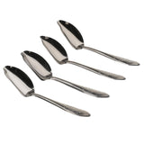 Maxbell Stainless Steel Bird Parrot Feeding Spoon,Feeding  Milk Medicine Spoons