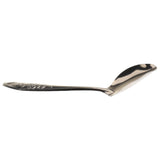 Maxbell Stainless Steel Bird Parrot Feeding Spoon,Feeding  Milk Medicine Spoons