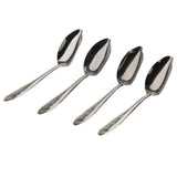 Maxbell Stainless Steel Bird Parrot Feeding Spoon,Feeding  Milk Medicine Spoons