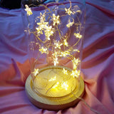 Maxbell 2 pcs Battery Powered Plastic Star Fairy Chain Lamp 2meter 20LED Warm White