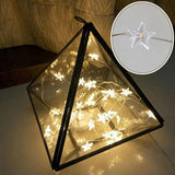 Maxbell 2 pcs Battery Powered Plastic Star Fairy Chain Lamp 2meter 20LED Warm White