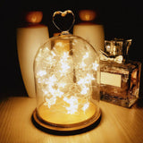 Maxbell 2 pcs Battery Powered Plastic Star Fairy Chain Lamp 2meter 20LED Warm White