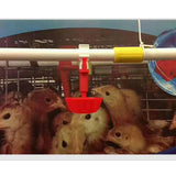 Maxbell Maxbell 10x Poultry Water Drinking Cups / Chicken, Hen, Duck Goose Automatic Drinker
