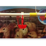 Maxbell Maxbell 10 Pcs Premium Chicken Waterer Cups Poultry Goose Birds Pigeon Water Bowls
