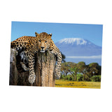 Maxbell Maxbell Aquarium 3D Single-sided Adhesive Background Sticker Decoration 122x61cm