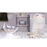 Maxbell Maxbell Pet Cat Bowls Kitten Feeding Food Water Bowl with Cute Design White