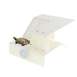 Maxbell Maxbell Double-layers Turtle Basking Platform Rest Island Aquarium Fish Tank Decor