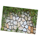 Maxbell Maxbell HD Dramatic 3D Print Single Adhesive Picture Backdrop for Fish Tank Aquarium S