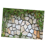 Maxbell Maxbell HD Dramatic 3D Print Single Adhesive Picture Backdrop for Fish Tank Aquarium S