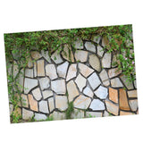 Maxbell Maxbell HD Dramatic 3D Print Single Adhesive Picture Backdrop for Fish Tank Aquarium L