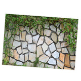 Maxbell Maxbell HD Dramatic 3D Print Single Adhesive Picture Backdrop for Fish Tank Aquarium L