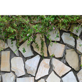 Maxbell Maxbell HD Dramatic 3D Print Single Adhesive Picture Backdrop for Fish Tank Aquarium XL