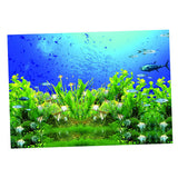 Maxbell Maxbell High Definition 3D Single Adhesive Plant Fish Picture Backdrop for Aquarium S