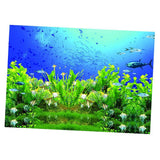 Maxbell Maxbell High Definition 3D Single Adhesive Plant Fish Picture Backdrop for Aquarium L