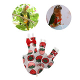Maxbell Maxbell Parrot Reusable Nappies Pocket Cloth Diaper Bird Pee Pad Strawberry S