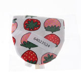 Maxbell Maxbell Parrot Reusable Nappies Pocket Cloth Diaper Bird Pee Pad Strawberry L