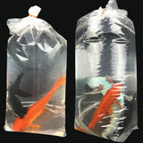Maxbell Maxbell 50xPlastic Bags for Shipment or Transportation Aquatic Fish Shrimp 18x42cm