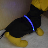 Maxbell Maxbell Pet Dog Waterproof Clothes with LED Luminous Strip Reflective Coat Black S