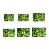 Maxbell Maxbell Aquarium HD Background Sticker Fish Tank Wall Decoration Painting XS