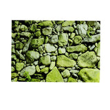 Maxbell Maxbell Aquarium HD Background Sticker Fish Tank Wall Decoration Painting XS
