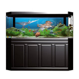 Maxbell Maxbell Aquarium Background HD Picture Reptile Vivarium Wallpaper Mermaid XXL