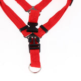 Maxbell Maxbell Pet leash with chest strap collar three-piece Red S