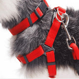 Maxbell Maxbell Pet leash with chest strap collar three-piece Red S