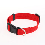 Maxbell Maxbell Pet leash with chest strap collar three-piece Red S