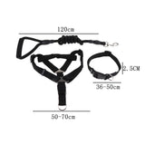 Maxbell Maxbell Pet leash with chest strap collar three-piece Black L
