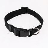 Maxbell Maxbell Pet leash with chest strap collar three-piece Black L