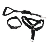 Maxbell Maxbell Pet leash with chest strap collar three-piece Black L