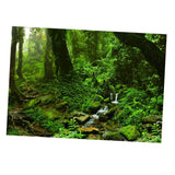 Maxbell Maxbell Aquarium Background 3D Background Poster Fish Tank Wall Decorations Sticker 76x56cm