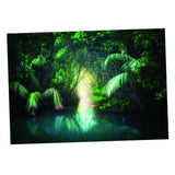 Maxbell Maxbell 3D HD Print Single Adhesive Picture Backdrop for Fish Tank Aquarium 76x46cm