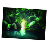Maxbell Maxbell 3D HD Print Single Adhesive Picture Backdrop for Fish Tank Aquarium 122x61cm